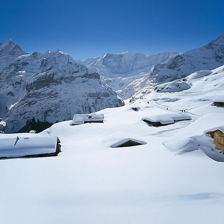 Apartment Chalet Baergsunna-2 By Interhome Grindelwald Luaran gambar