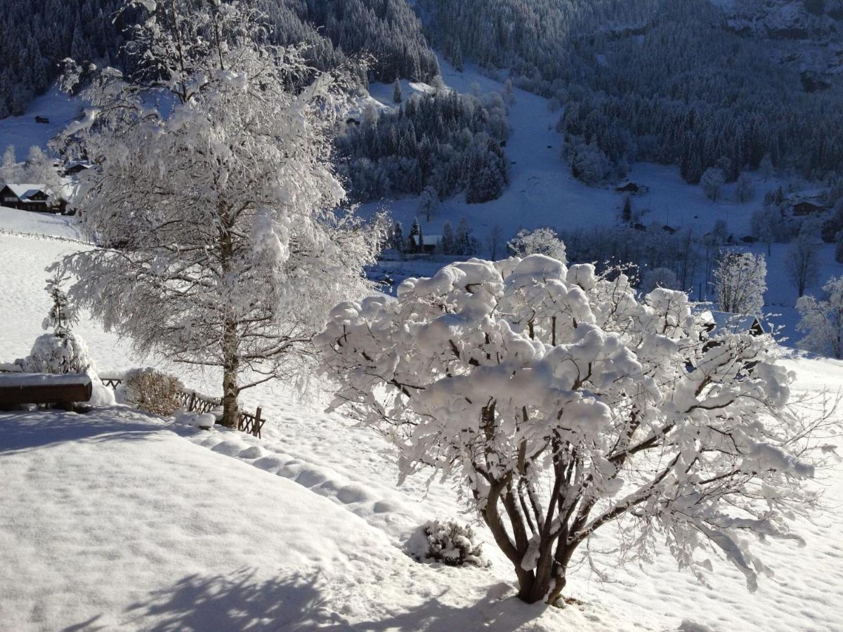 Apartment Chalet Baergsunna-2 By Interhome Grindelwald Luaran gambar
